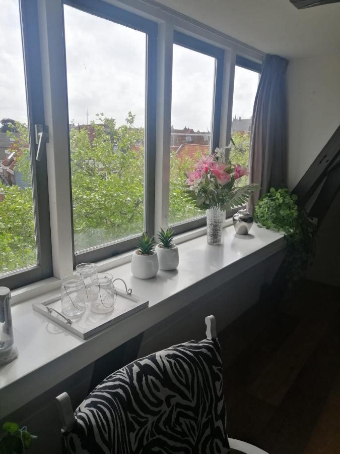 WitteZwaan Bed and Breakfast Harlingen Buitenkant foto