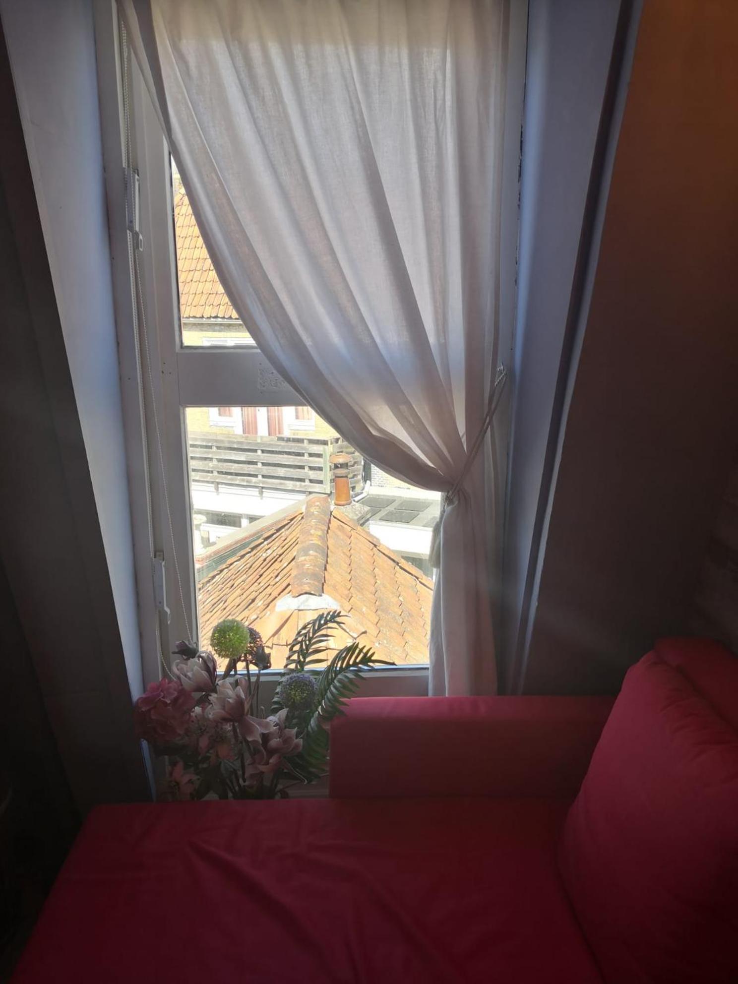 WitteZwaan Bed and Breakfast Harlingen Buitenkant foto